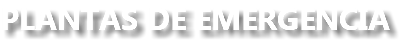 PLANTAS DE EMERGENCIA